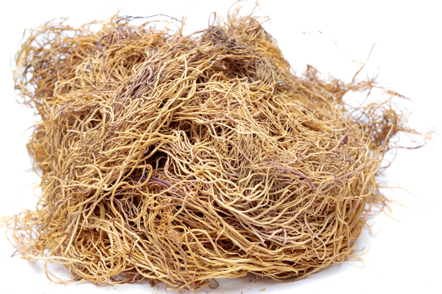 Dry Gracilaria