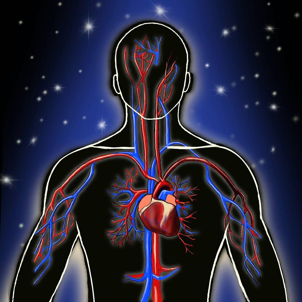 Circulatory Herbal Blend