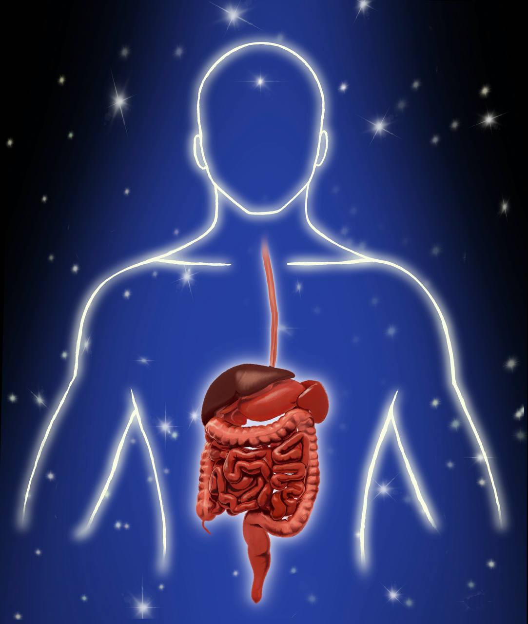 Digestive Herbal Blend