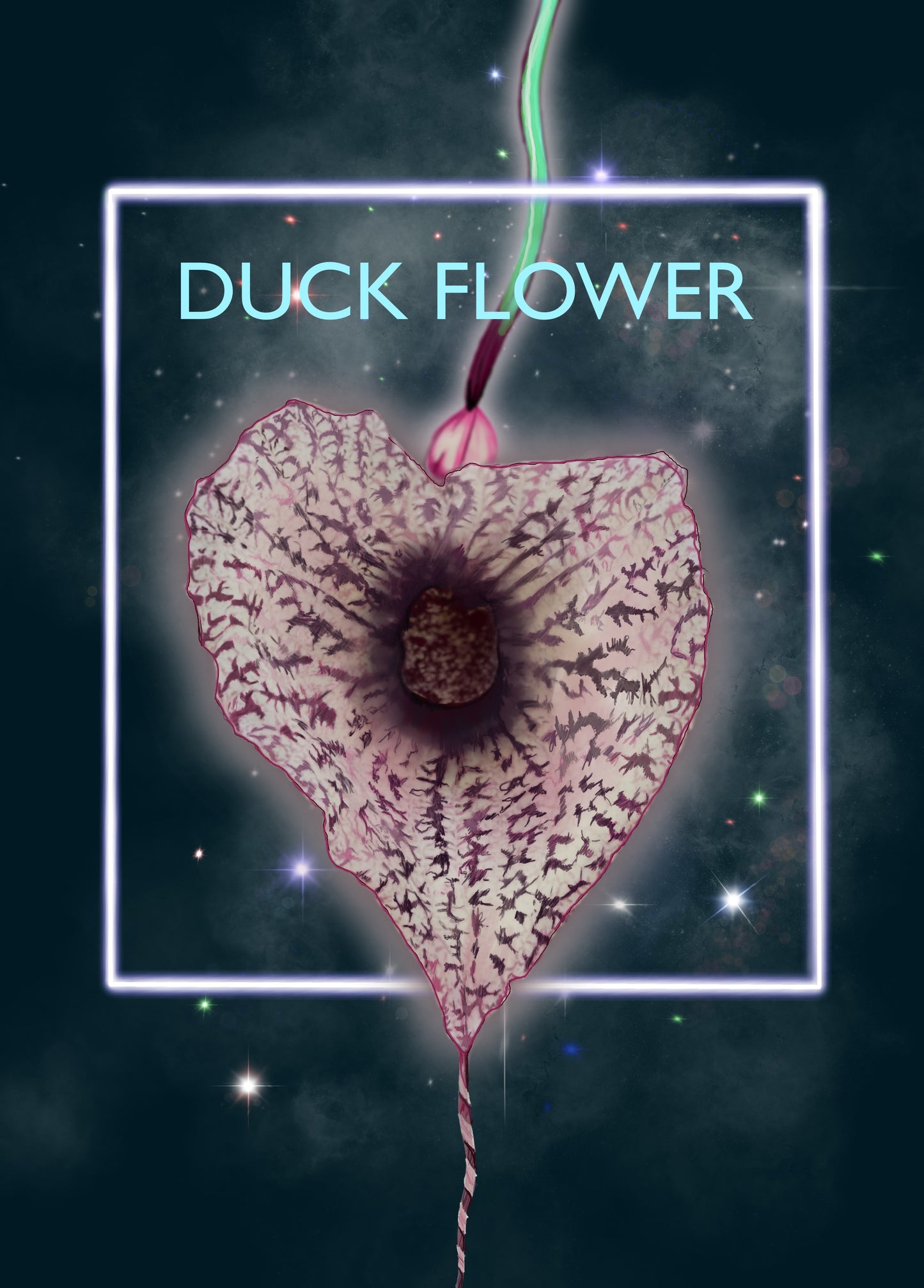 Duck Flower